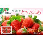 いちご とちおとめ つる付き 4パック