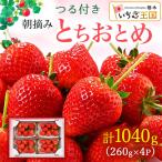いちご とちおとめ つる付き 4パック