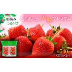 いちご とちあいか つる付き 大粒プレミアム 2パック