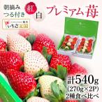 いちご つる付き 紅白プレミアム苺 2パック