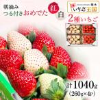 いちご おめでた紅白2種いちご 4パック