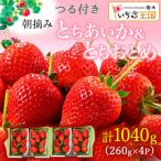 いちご あいか×おとめハーフ&ハーフ 4パック
