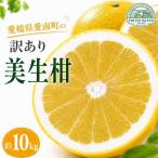 訳あり 美生柑 みしょうかん 約10kg