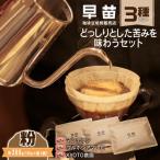 焙煎珈琲豆 どっしりとした苦みを味わうセット