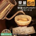 焙煎珈琲豆 ★6か月定期便★ 毎月違ったスペシャルティコーヒ…