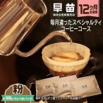 焙煎珈琲豆 ★12か月定期便★ 毎月違ったスペシャルティコー…
