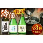 千代の園 猫 セット