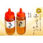 CH076 はちみつ 500g×2本セット
