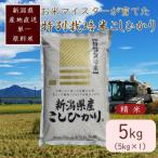 お米マイスター コシヒカリ 上越頸城産 白米5kg