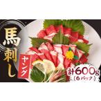 ふるさと納税 ヤング馬刺し 計600g(6pc)+タレ大【馬刺しの郷 民守】 肉 馬肉 馬 熊本県 特産品 特産 馬刺し 熊本馬刺し 馬刺 ヤング馬刺し.. 熊本県山鹿市