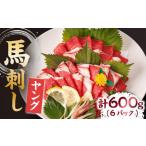 ふるさと納税 ヤング馬刺し 計600g（6pc）＋タレ大【馬刺しの郷 民守】  肉 馬肉 馬 熊本県 特産品 特産  馬刺し 熊本馬刺し  馬刺 ヤング馬刺し.. 熊本県山鹿市