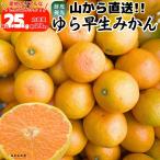 ゆら早生 みかん 山から直送 箱込 2.5kg