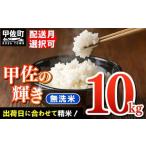 ショッピングふるさと納税 米 ふるさと納税 令和5年産『甲佐の輝き』無洗米10kg（5kg×2袋）【配送月選択可！】／出荷日に合わせて精米【価格改定Z】 熊本県甲佐町