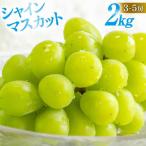 シャインマスカット2kg シャインマスカット