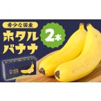 fu.... налог [ телевизор . тема!][ очень редкий местного производства banana . вы .!]hotaru banana 2 шт /... фрукты фрукты / юг остров . город / hotaru [SF.. Nagasaki префектура юг остров . город 