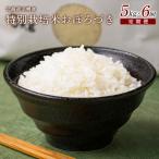 羽幌産 特別栽培米 おぼろづき5kg