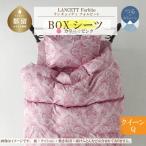 LANCETTIランチェッティForbitoフォルビート