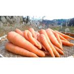 fu.... налог ..... лист энзим жизнь! нет пестициды морковь ( чёрный рисовое поле . размер ) мытье 8kg гель son терапевтические тоже обязательно . практическое применение пожалуйста![B0179] Gifu префектура .. город 