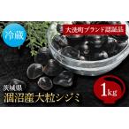涸沼産 大粒 シジミ 1kg