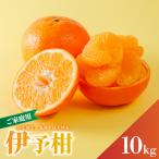 宮内伊予柑 10kg