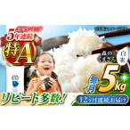 〈令和8年産米〉 森のくまさん 白米 5kg