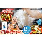 ふるさと納税 〈令和7年度新米〉 【全12回定期便】 森のくまさん 無洗米 5kg【株式会社 農産ベストパートナー】 新米 令和7年産 [ZBP096] 熊本県山鹿市