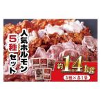 工場直送 焼肉ホルモン5種 味付肉 簡単 調理