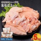 産ハーブ鶏まるごと5kgセット モモ肉500g×2パック