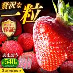 農家直送 朝採りいちご 約270g×2パック