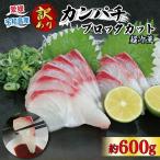 訳あり 超冷薫 加工 カンパチ ブロックカット 600g