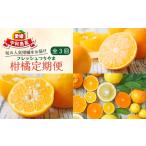 ショッピングふるさと納税 定期便 ふるさと納税 柑橘定期便 全 3回 みかん定期便 家庭用 愛果28号 ポンカン フレッシュつちやま 季節の柑橘 旬 愛媛みかん 愛媛蜜柑 愛媛ミカン .. 愛媛県宇和島市