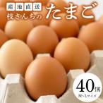 枝さんちのたまご 40個