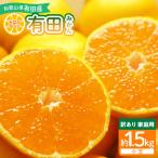 有田みかん 約1.5kg