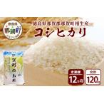 のお米 コシヒカリ 10kg×12回