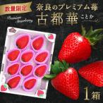 いちご 古都華いちごプレミアム I-275