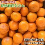 和歌山有田みかん約10kg