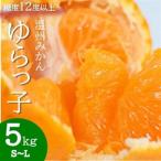 糖度12度以上 温州みかん ゆらっ子 5kg