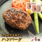 九州産黒毛和牛のハンバーグ 100g×2個入り