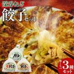 名所 深谷ねぎ餃子セット