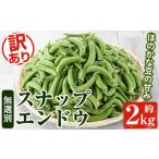 ふるさと納税 ＜先行予約受付中！2026年1月以降順次発送予定＞訳あり！鹿児島県産 スナップエンドウ(約2kg) 国産 野菜 スナップエンドウ ス.. 鹿児島県阿久根市