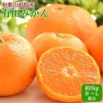 超熟有田みかん5kg+150g