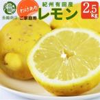 紀州有田産レモン 2.5kg