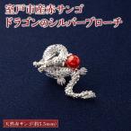 ドラゴンのシルバーブローチ 赤サンゴ FN-Limited-PR