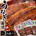 うなぎ蒲焼 中 3人前