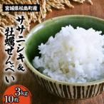 産ササニシキ3kg 小さなカキとコメと10枚入りセット