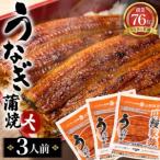 うなぎ蒲焼 大 3人前