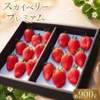 完熟朝摘みスカイベリー プレミアム 900g