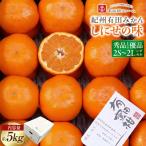 有田みかん 約5kg
