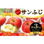 No.2771 ふくしまのサンふじりんご 約3kg