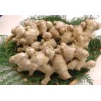 fu.... налог [ Kochi префектура большой месяц блок производство ] Tamura сельское хозяйство .. . сырой .1.2kg Kochi префектура большой месяц блок 